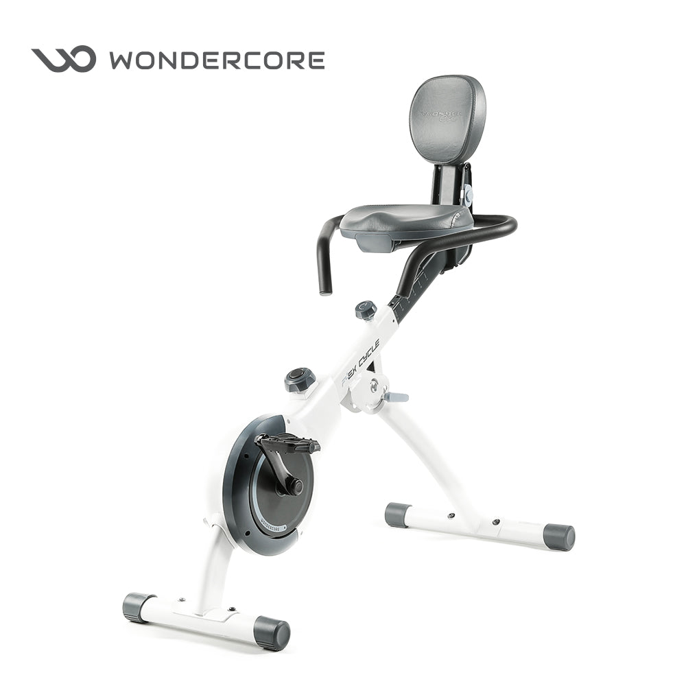 Flex Cycle 極限翻轉健身車-夜幕藍/極地白